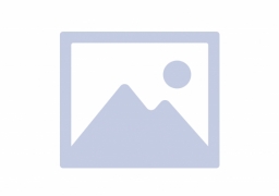 GELIOS ZWISCHENREIHENGRUBBER