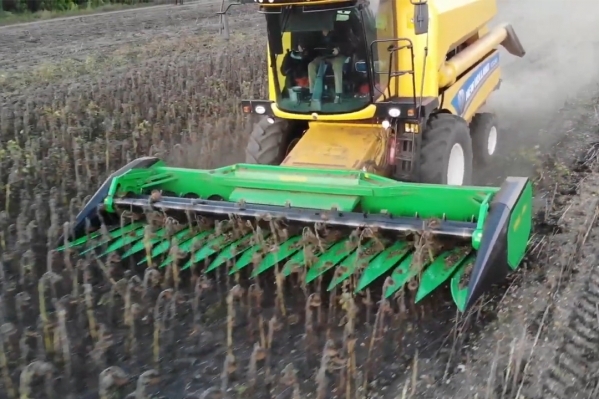 Reaper für die Ernte von Sonnenblumen CX
