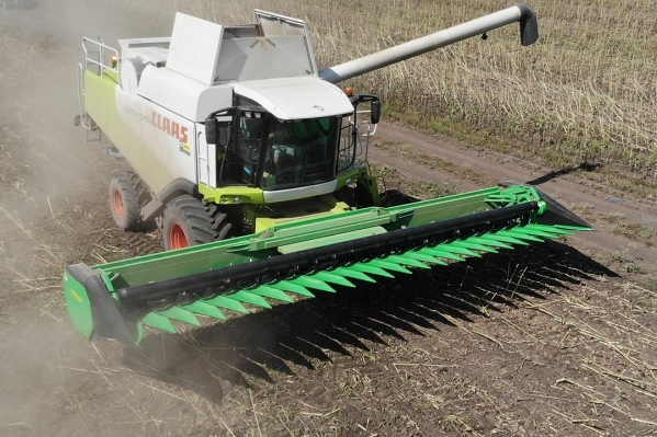 Reaper for harvesting sunflower CX