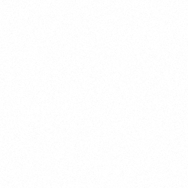 Disc harrows frigate smooth borated Veles Agro